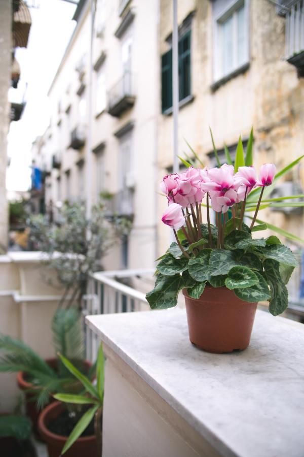 La Casa Del Nespolo, 2 Terrazzi E 2 Bagni In Centro Apartman Nápoly Kültér fotó